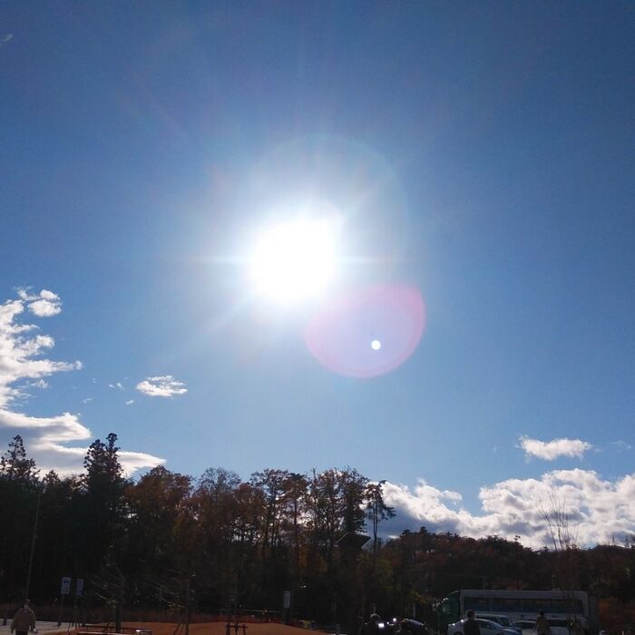 画像1380