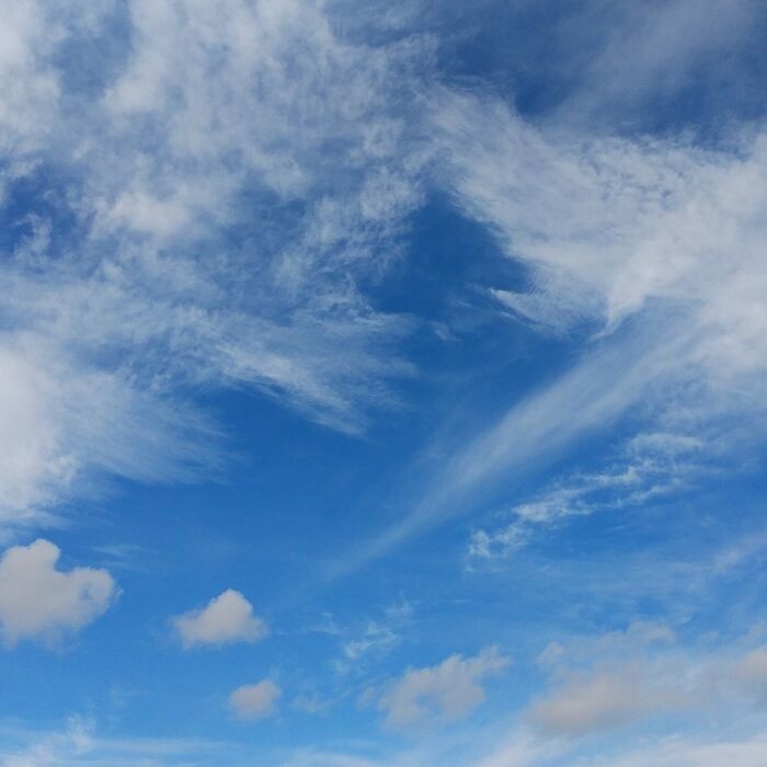 画像1381