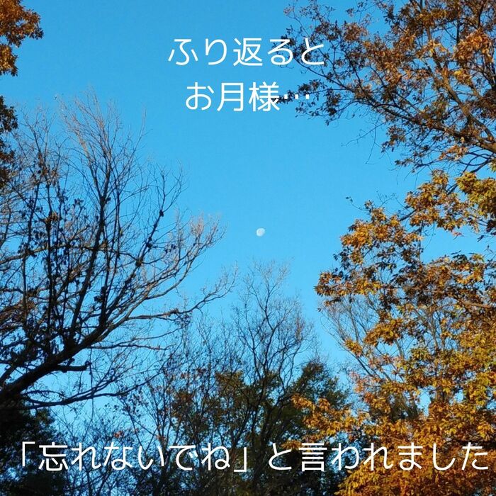 画像1385
