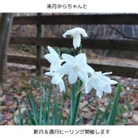 画像1386